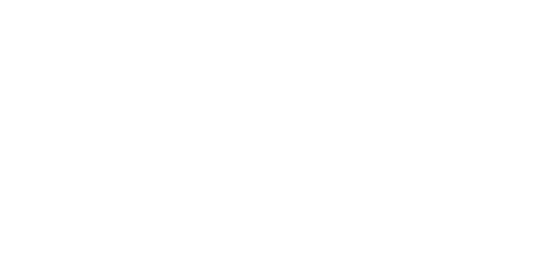 MVGM